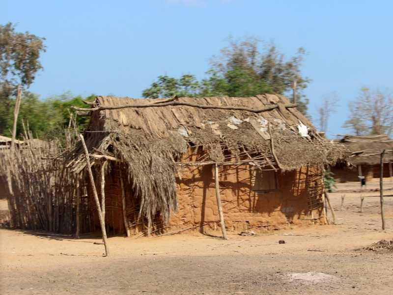 Мадагаскар и Маврикий. Баобабы и киты.