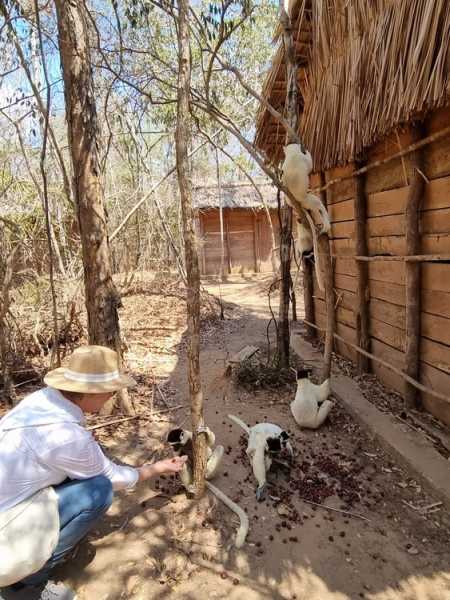 Мадагаскар и Маврикий. Баобабы и киты.