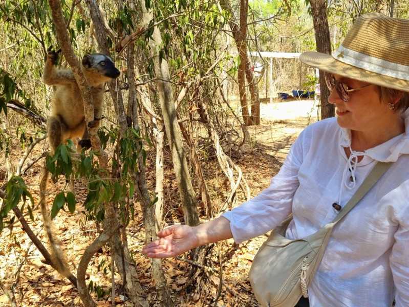 Мадагаскар и Маврикий. Баобабы и киты.