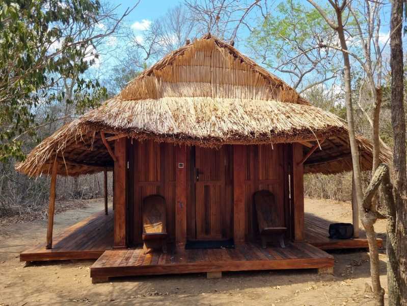 Мадагаскар и Маврикий. Баобабы и киты.