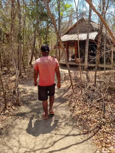 Мадагаскар и Маврикий. Баобабы и киты.