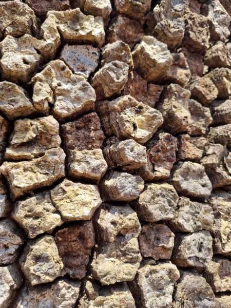 Мадагаскар и Маврикий. Баобабы и киты.