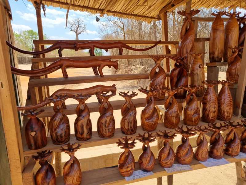 Мадагаскар и Маврикий. Баобабы и киты.