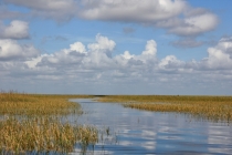 Sawgrass Recreation Park