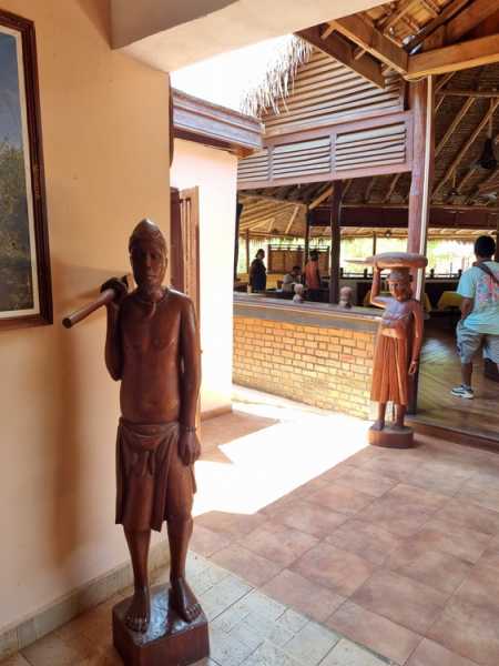 Мадагаскар и Маврикий. Баобабы и киты.