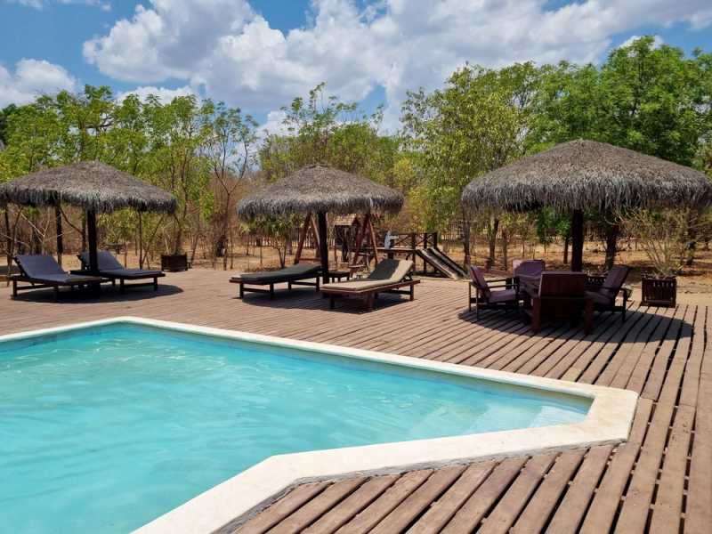 Мадагаскар и Маврикий. Баобабы и киты.