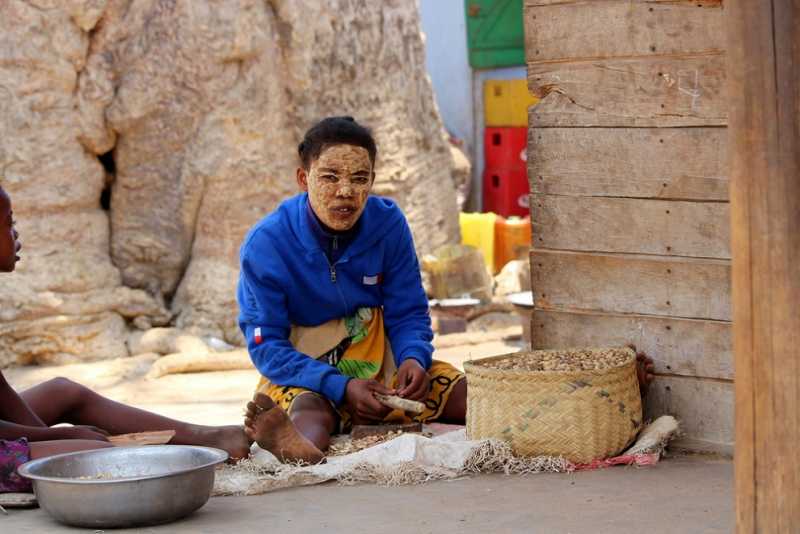 Мадагаскар и Маврикий. Баобабы и киты.