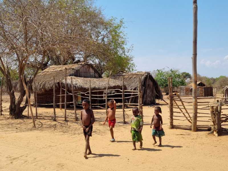 Мадагаскар и Маврикий. Баобабы и киты.