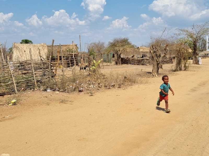 Мадагаскар и Маврикий. Баобабы и киты.