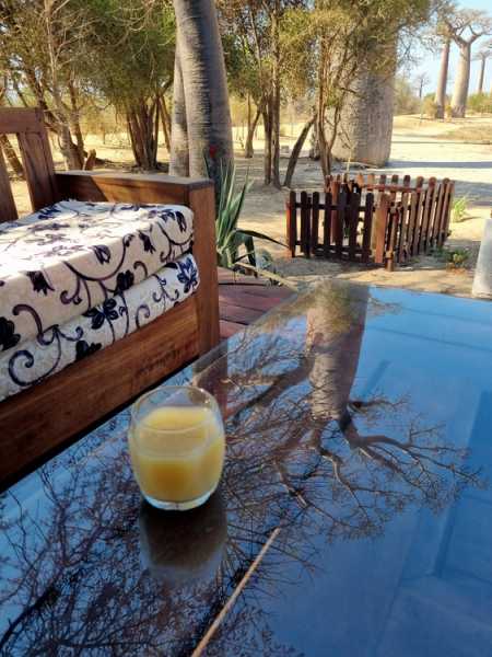 Мадагаскар и Маврикий. Баобабы и киты.