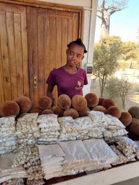 Мадагаскар и Маврикий. Баобабы и киты.