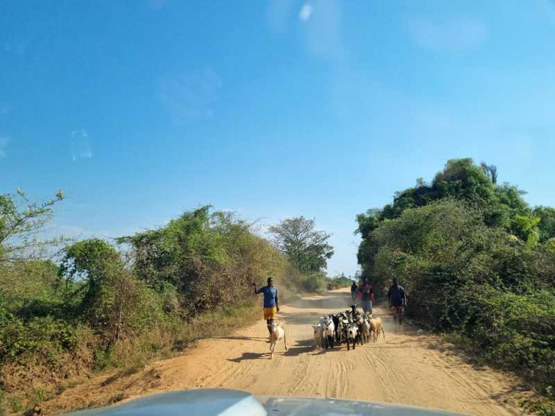 Мадагаскар и Маврикий. Баобабы и киты.