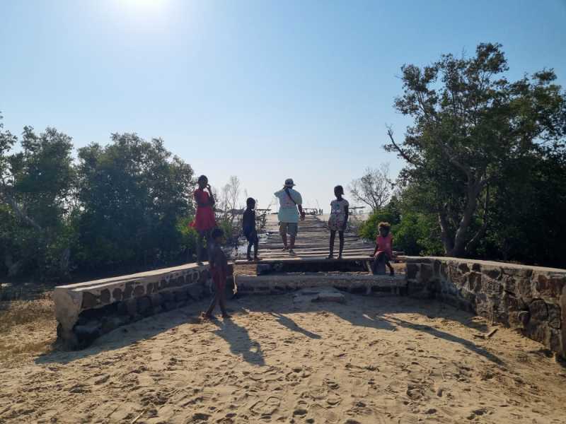 Мадагаскар и Маврикий. Баобабы и киты.