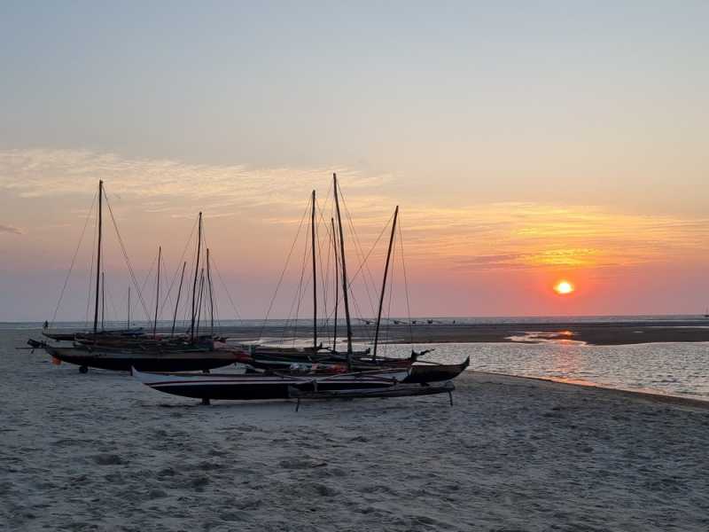 Мадагаскар и Маврикий. Баобабы и киты.