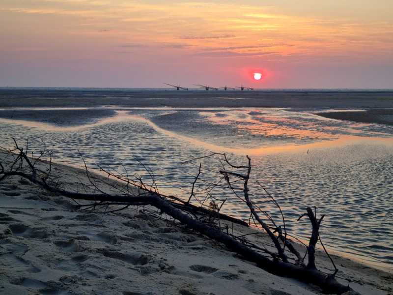 Мадагаскар и Маврикий. Баобабы и киты.