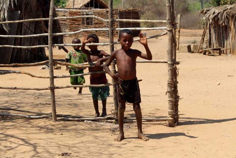 Мадагаскар и Маврикий. Баобабы и киты.