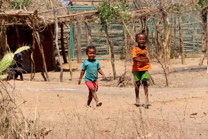 Мадагаскар и Маврикий. Баобабы и киты.