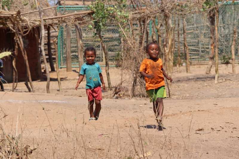 Мадагаскар и Маврикий. Баобабы и киты.