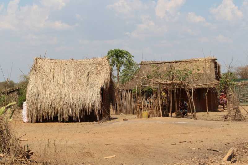 Мадагаскар и Маврикий. Баобабы и киты.