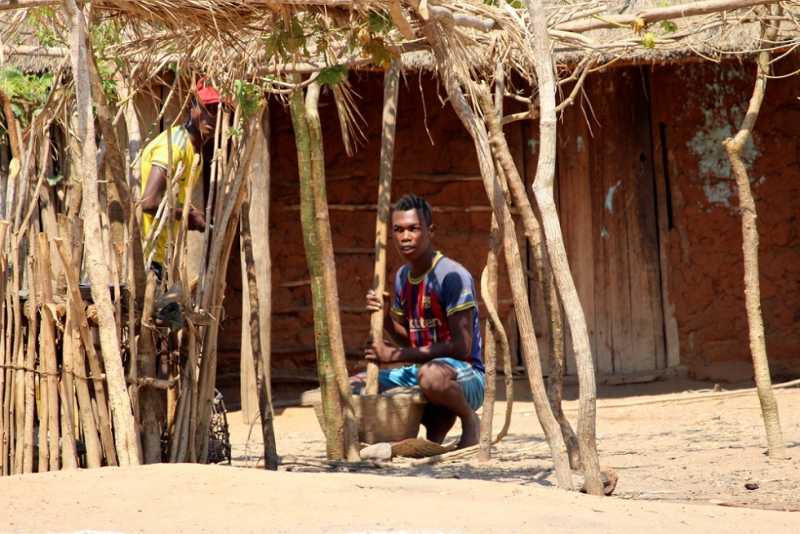 Мадагаскар и Маврикий. Баобабы и киты.