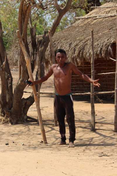 Мадагаскар и Маврикий. Баобабы и киты.