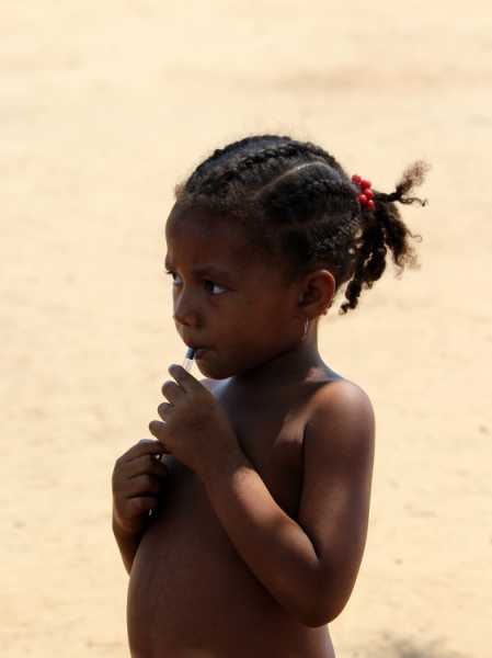 Мадагаскар и Маврикий. Баобабы и киты.