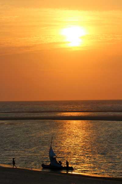 Мадагаскар и Маврикий. Баобабы и киты.