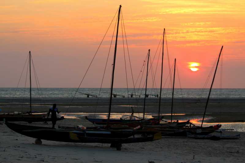 Мадагаскар и Маврикий. Баобабы и киты.