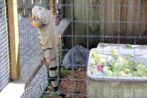 Sawgrass Recreation Park