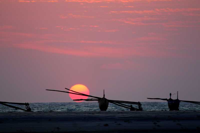 Мадагаскар и Маврикий. Баобабы и киты.