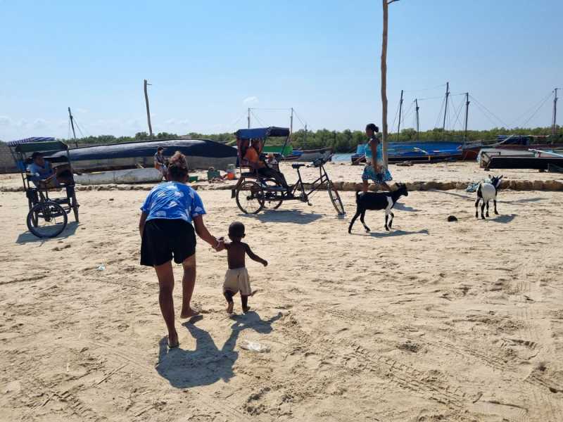 Мадагаскар и Маврикий. Баобабы и киты.