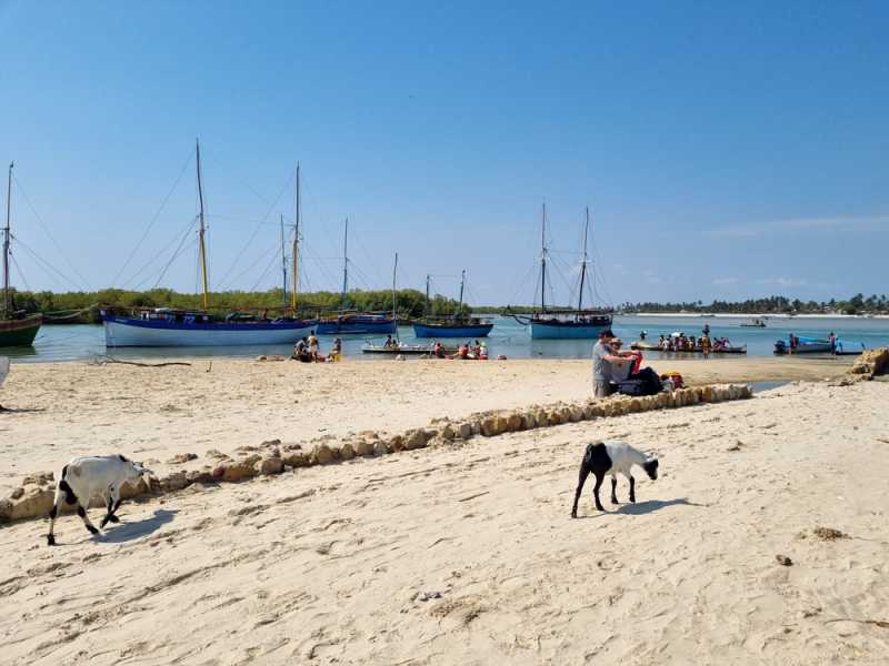 Мадагаскар и Маврикий. Баобабы и киты.