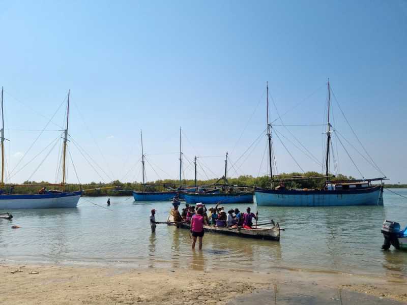 Мадагаскар и Маврикий. Баобабы и киты.