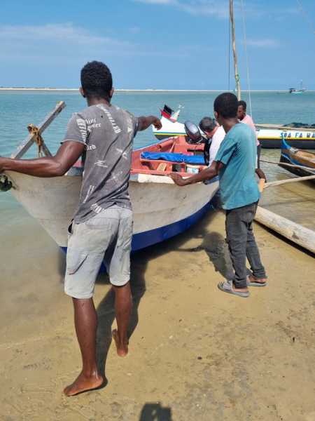 Мадагаскар и Маврикий. Баобабы и киты.