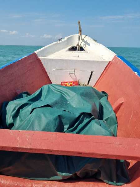 Мадагаскар и Маврикий. Баобабы и киты.