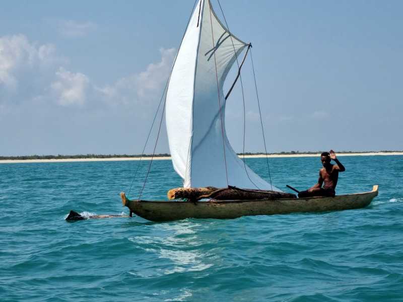 Мадагаскар и Маврикий. Баобабы и киты.