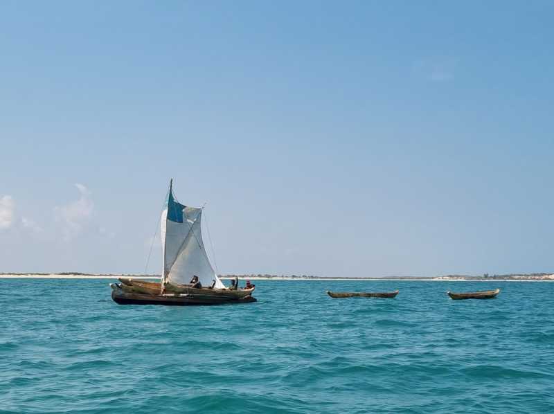 Мадагаскар и Маврикий. Баобабы и киты.