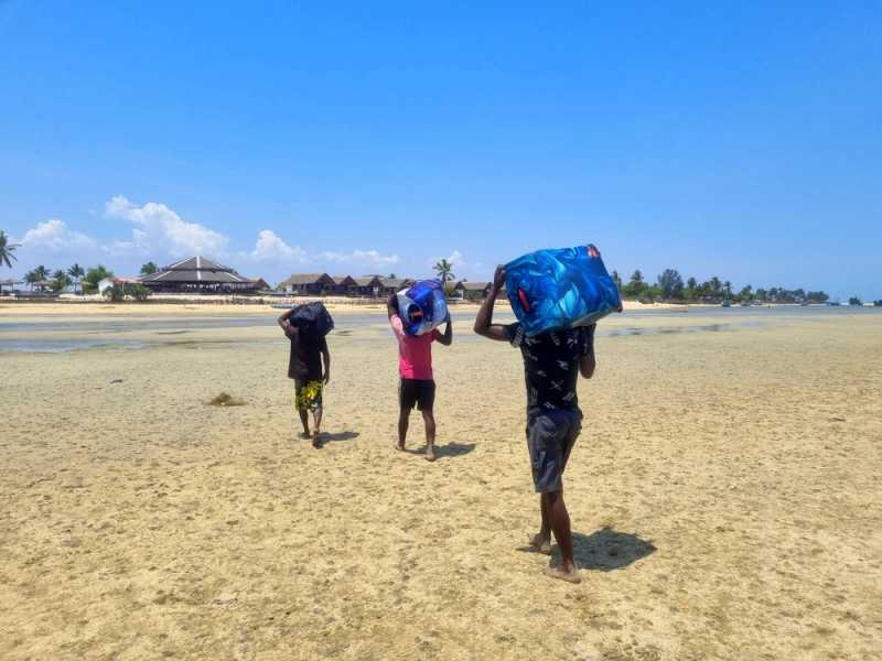 Мадагаскар и Маврикий. Баобабы и киты.