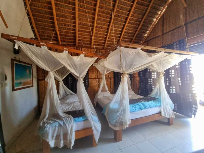 Мадагаскар и Маврикий. Баобабы и киты.