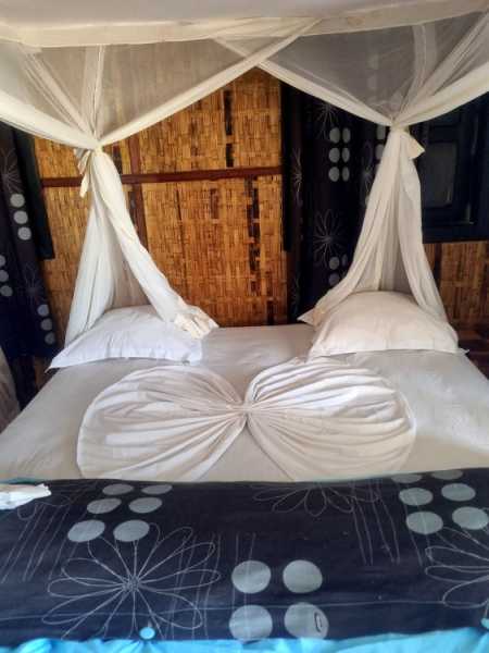 Мадагаскар и Маврикий. Баобабы и киты.