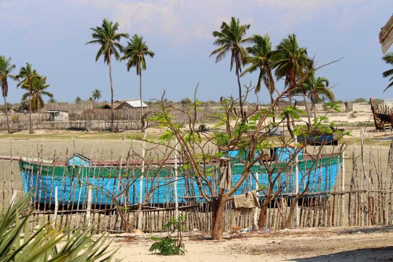 Мадагаскар и Маврикий. Баобабы и киты.