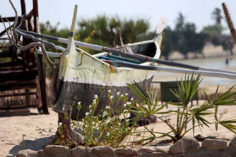 Мадагаскар и Маврикий. Баобабы и киты.