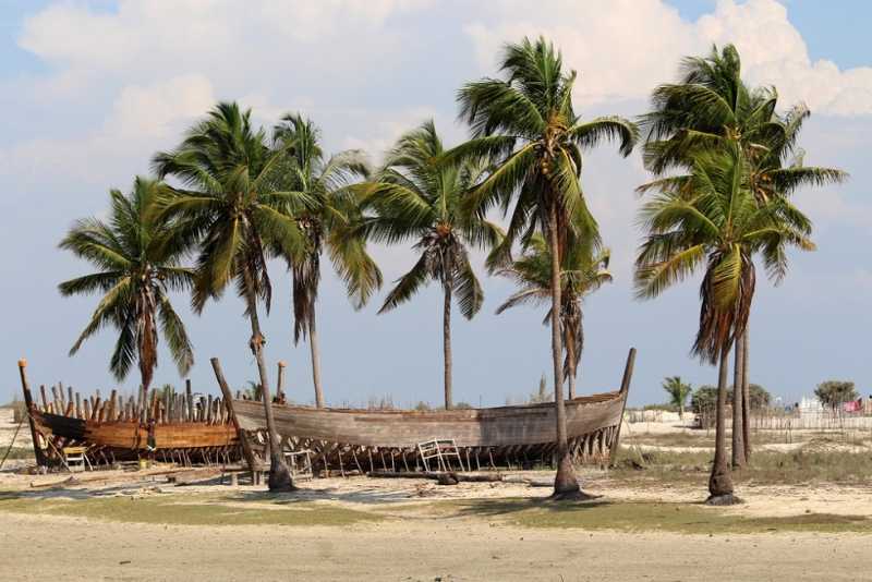 Мадагаскар и Маврикий. Баобабы и киты.