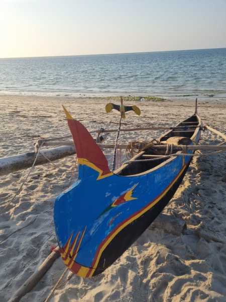 Мадагаскар и Маврикий. Баобабы и киты.