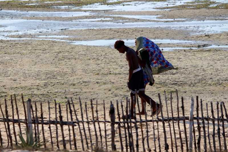 Мадагаскар и Маврикий. Баобабы и киты.