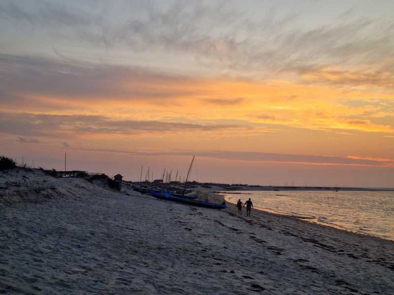 Мадагаскар и Маврикий. Баобабы и киты.