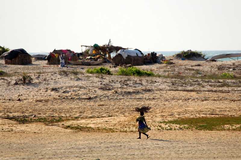 Мадагаскар и Маврикий. Баобабы и киты.