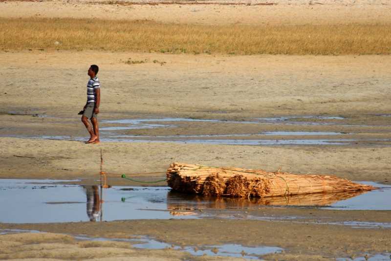 Мадагаскар и Маврикий. Баобабы и киты.