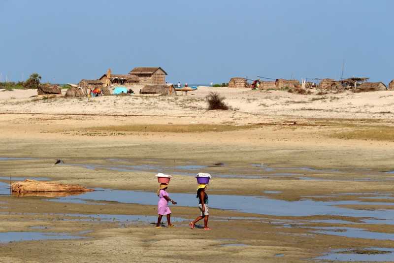 Мадагаскар и Маврикий. Баобабы и киты.
