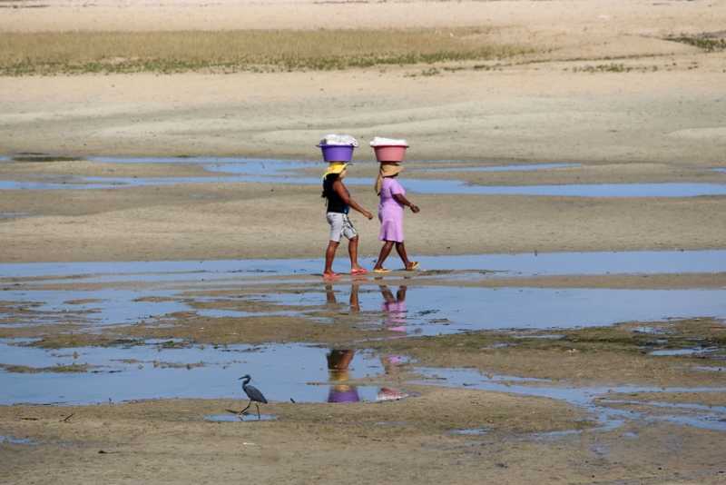 Мадагаскар и Маврикий. Баобабы и киты.